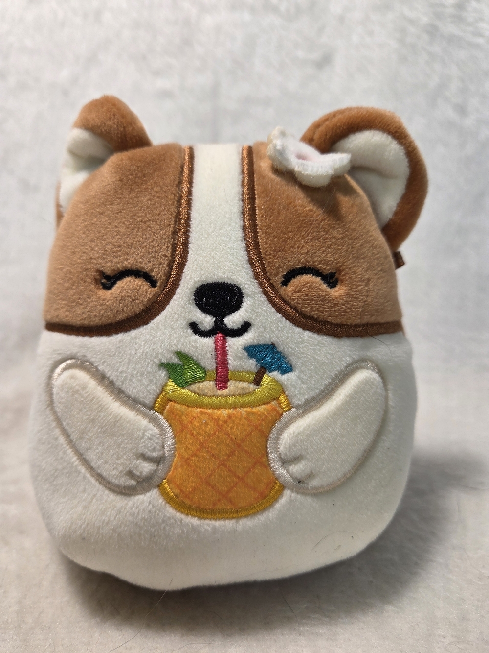 REGINA the Corgi Squishmallows 5" Pineapple Drink with Bow Plush Toy NO HANGTAG